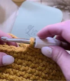 Hook working into a mustard basket next to the sage case