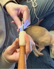 Crocheting on the couch with a kitten nearby